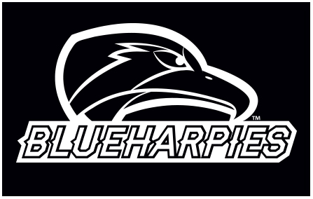 Harpy_eagles_branding_idnentiy_logo_design
